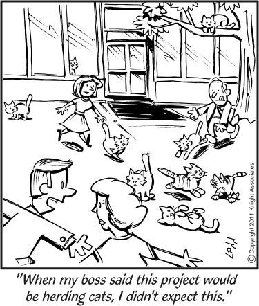 Herding cats