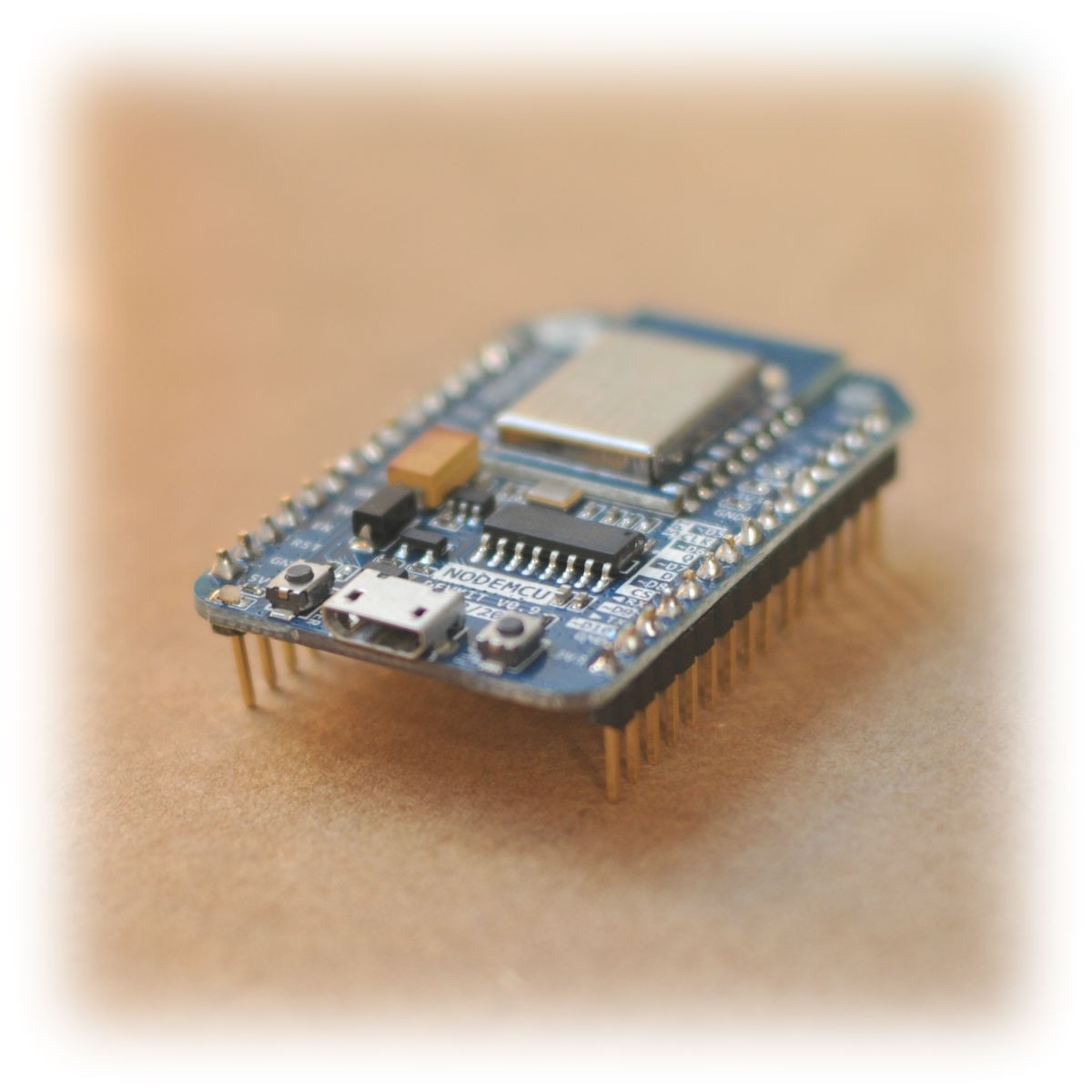 NodeMCU Dev Kit