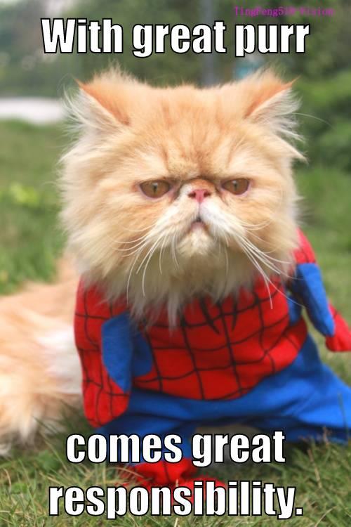 With Great Power...