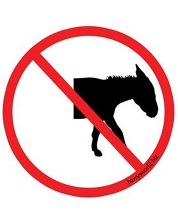 No Half Ass